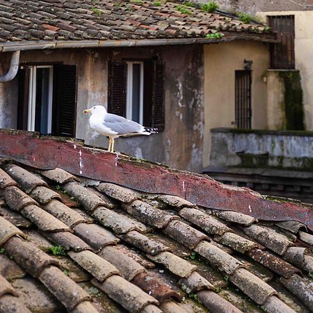 Bed and Breakfast Casa De' Fiori Roma Exterior foto